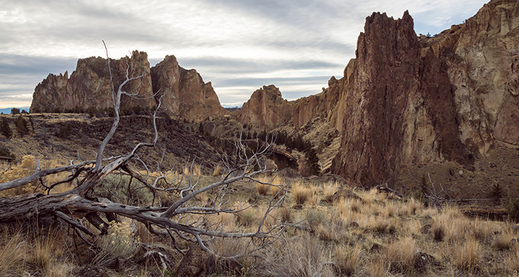 Owyhee Desert