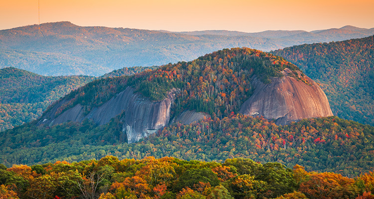 Pisgah National Forest