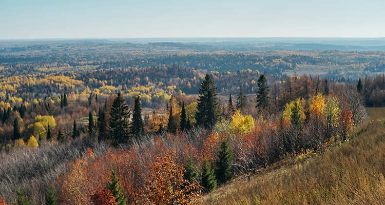 Superior National Forest
