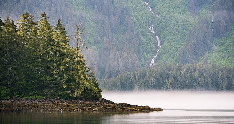 Tongass National Forest