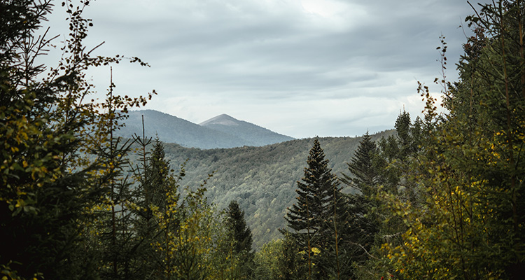 White Mountain National Forest