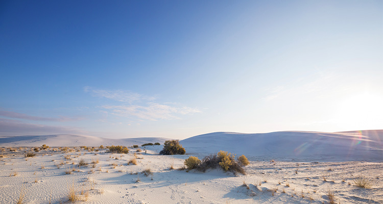 White Sands Desert