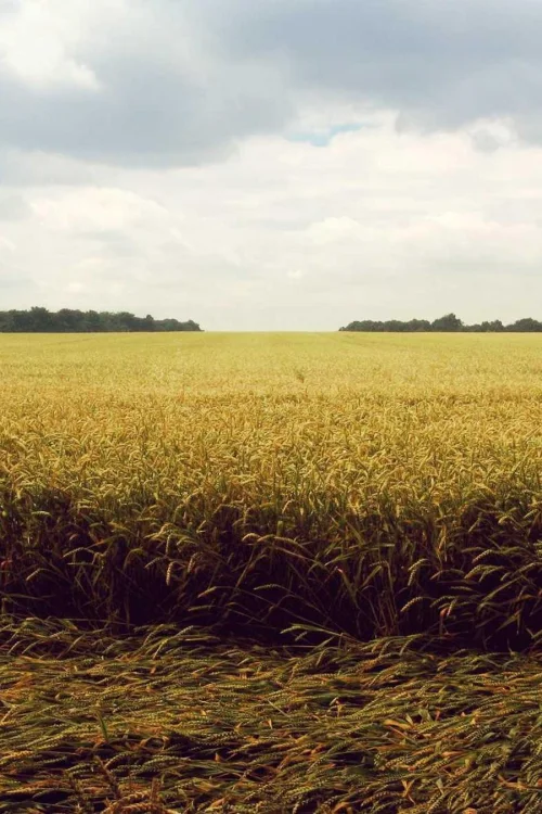 The Boundless, The Expanse and The Unknown
