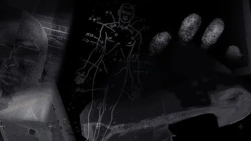 Anatomy of a Crime