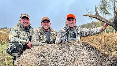 North American Elk: Endless Bugles